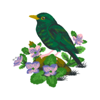 Art Animals Art Animals