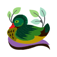 Art Animals Art Animals