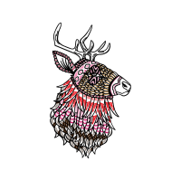 Art Animals Art Animals