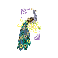 Art Animals Art Animals