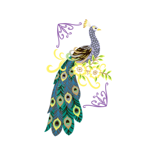 Art Animals Art Animals