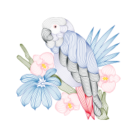 Art Animals Art Animals