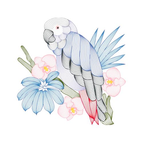 Art Animals Art Animals