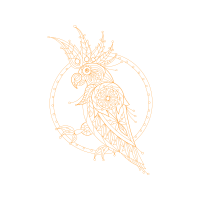 Art Animals Art Animals