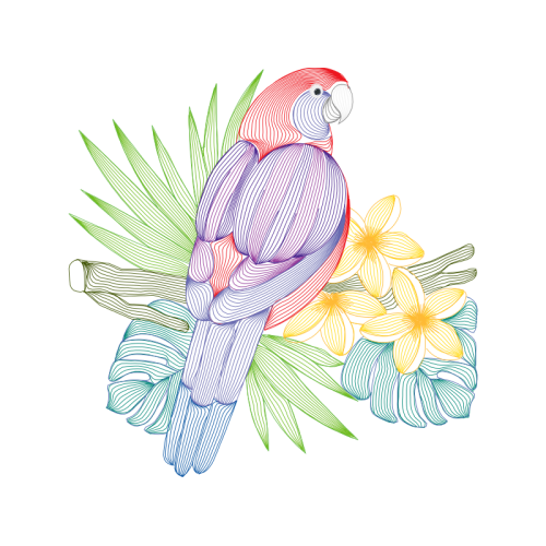 Art Animals Art Animals