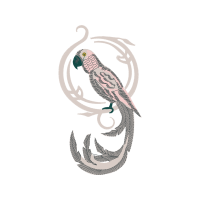 Art Animals Art Animals