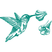 Art Animals Art Animals