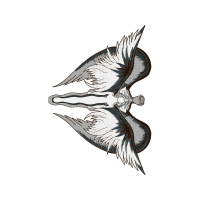 Art Animals Art Animals