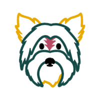 Art Animals Art Animals