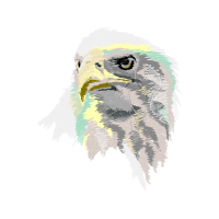 Atlantic Canary Animals