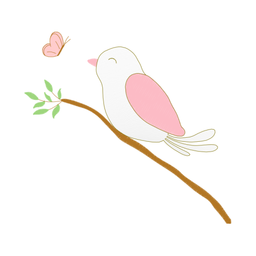 Barn Owl Animals Barn Owl Animals