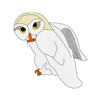 Barn Owl Animals
