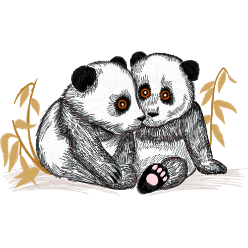 Barn Owl Animals Barn Owl Animals