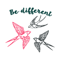 Barn Swallow Animals