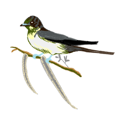 Barn Swallow Animals Barn Swallow Animals