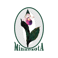 Big Bird Animals Big Bird Animals