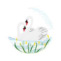 Bird Animals Bird Animals