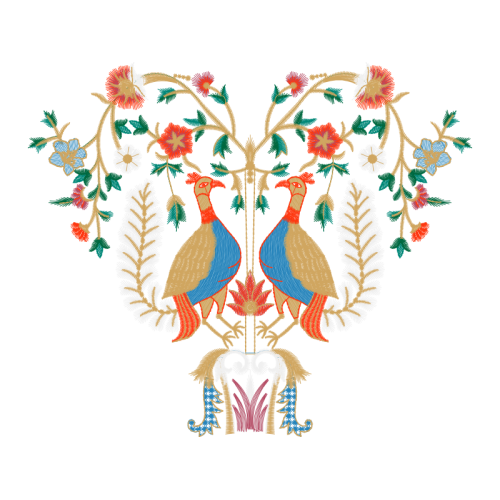 Birds Animals Birds Animals