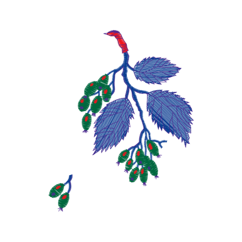 Birds Animals Birds Animals