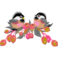 Birds Animals Birds Animals