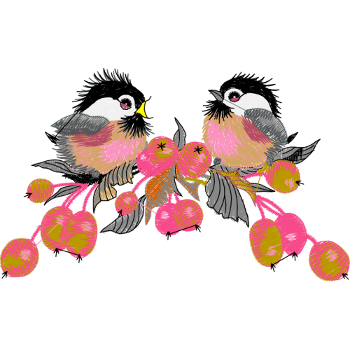 Birds Animals Birds Animals