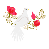 Birds Animals Birds Animals