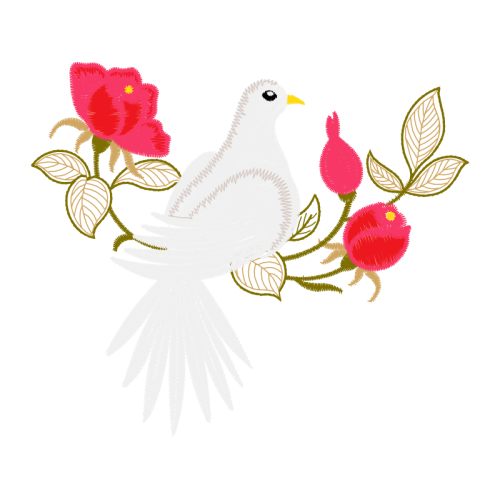 Birds Animals Birds Animals