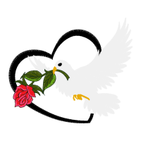 Birds Animals Birds Animals