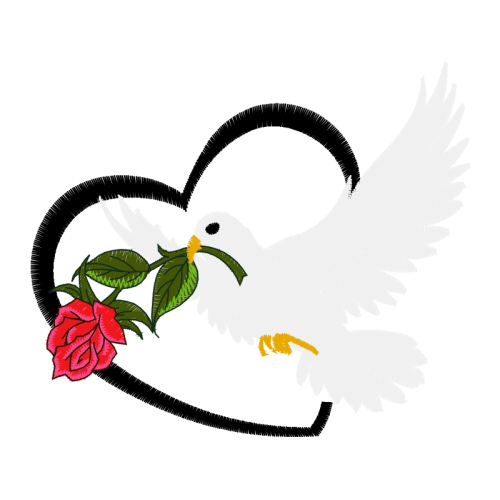 Birds Animals Birds Animals