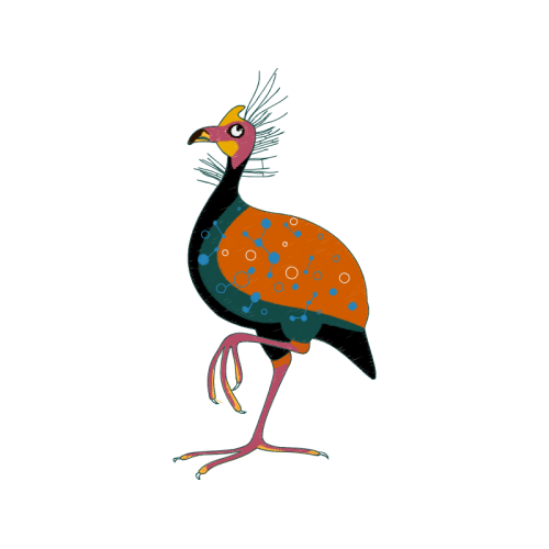 Birds Animals Birds Animals