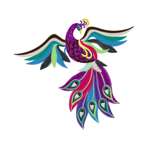 Birds Animals Birds Animals