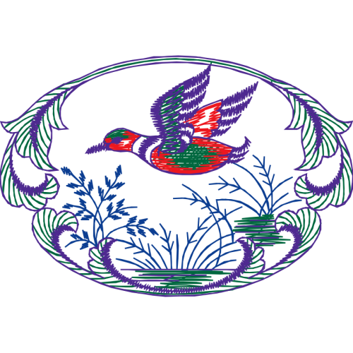 Birds Animals Birds Animals