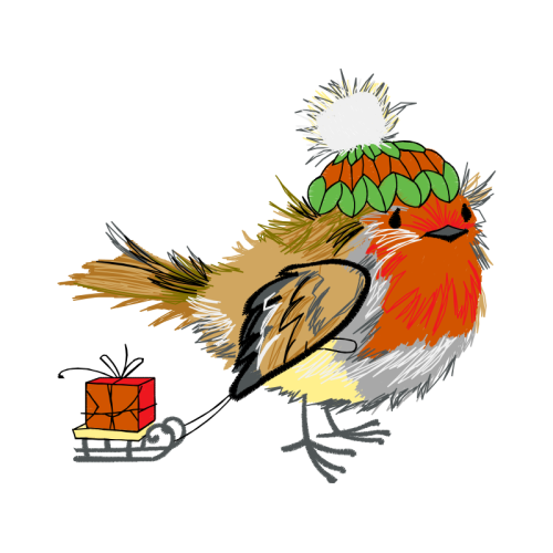 Birds Animals Birds Animals