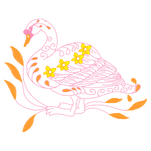 Birds Animals Birds Animals