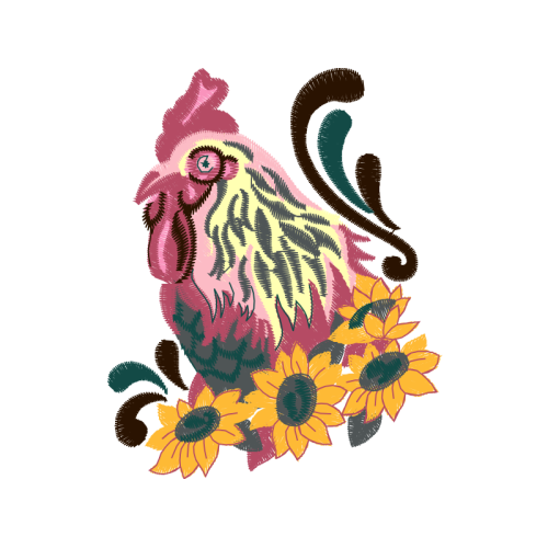 Birds Animals Birds Animals