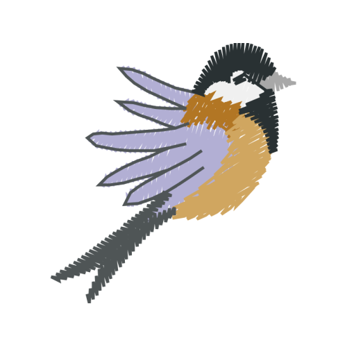 Birds Animals Birds Animals