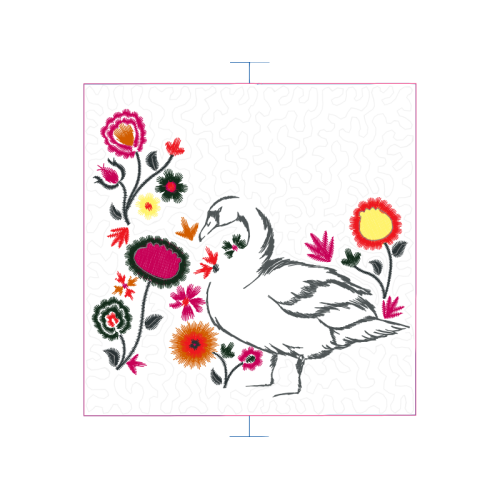 Birds Animals Birds Animals