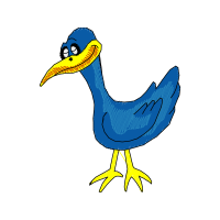 Birds Animals Birds Animals