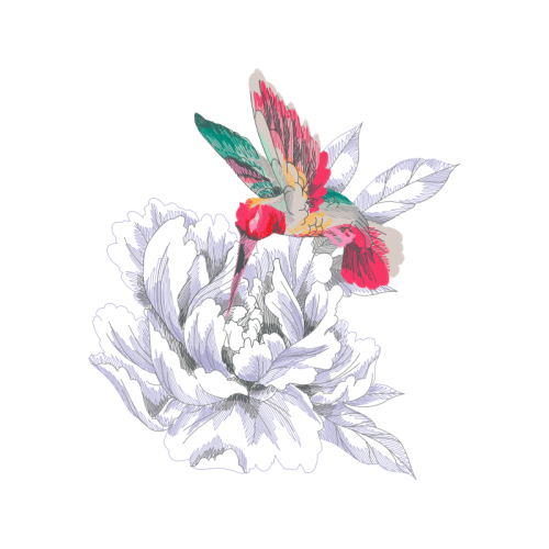 Birds Animals Birds Animals