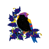 Birds Animals Birds Animals