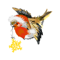 Birds Animals Birds Animals