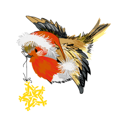 Birds Animals Birds Animals