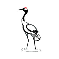 Birds Animals Birds Animals