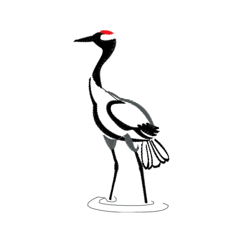 Birds Animals Birds Animals