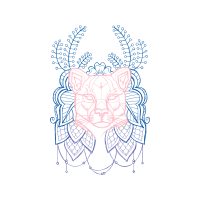 Birds Animals Birds Animals