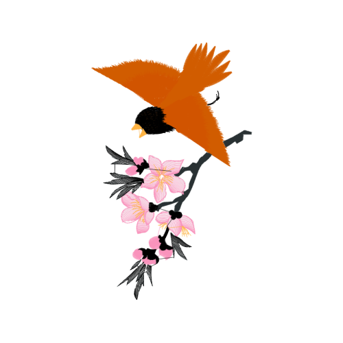 Birds Animals Birds Animals