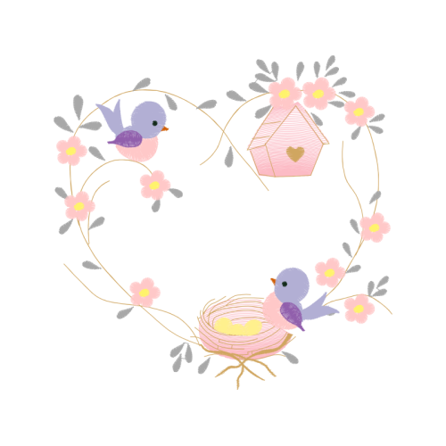 Birds Animals Birds Animals