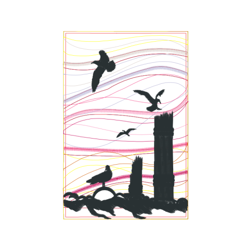 Birds Animals Birds Animals