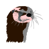 Birds Animals Birds Animals