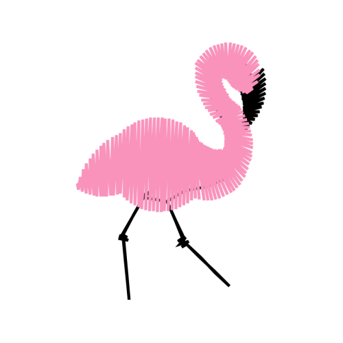 Birds Animals Birds Animals